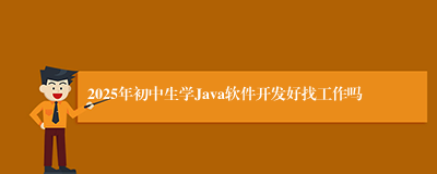 2025年初中生学Java软件开发好找工作吗