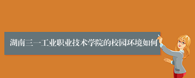 湖南三一工业职业技术学院的校园环境如何