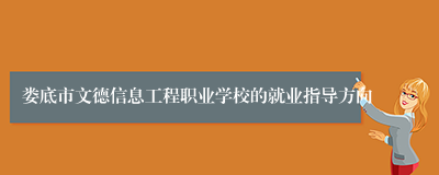 娄底市文德信息工程职业学校的就业指导方向