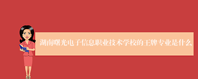 湖南曙光电子信息职业技术学校的王牌专业是什么