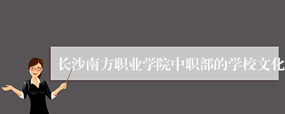 长沙南方职业学院中职部的学校文化