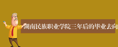 湖南民族职业学院三年后的毕业去向