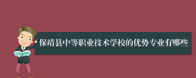 保靖县中等职业技术学校的优势专业有哪些