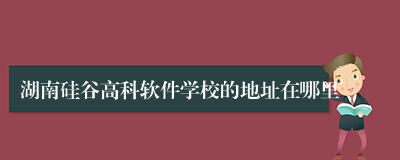 湖南硅谷高科软件学校的地址在哪里