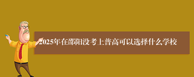 2025年在邵阳没考上普高可以选择什么学校