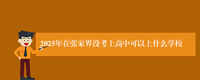 2025年在张家界没考上高中可以上什么学校