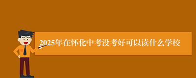 2025年在怀化中考没考好可以读什么学校