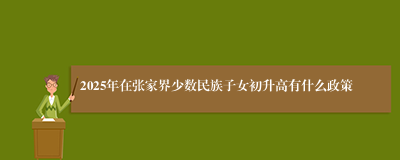 2025年在张家界少数民族子女初升高有什么政策