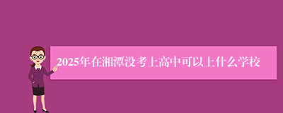 2025年在湘潭没考上高中可以上什么学校