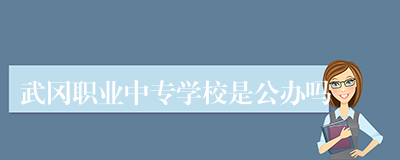 武冈职业中专学校是公办吗