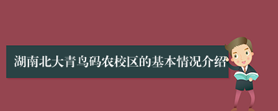 湖南北大青鸟码农校区的基本情况介绍