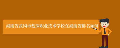 湖南省武冈市蓝深职业技术学校在湖南省排名如何