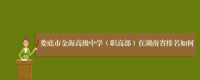 娄底市金海高级中学（职高部）在湖南省排名如何