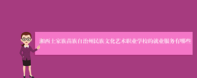 湘西土家族苗族自治州民族文化艺术职业学校的就业服务有哪些