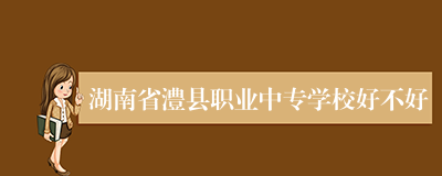 湖南省澧县职业中专学校好不好