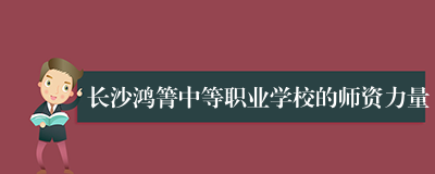 长沙鸿箐中等职业学校的师资力量