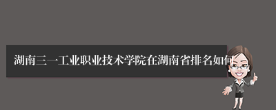 湖南三一工业职业技术学院在湖南省排名如何