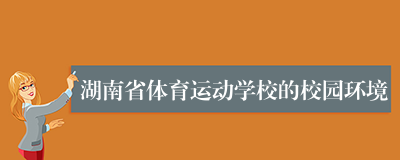 湖南省体育运动学校的校园环境