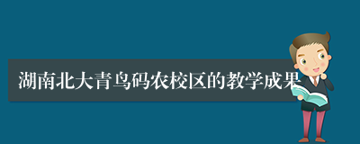 湖南北大青鸟码农校区的教学成果