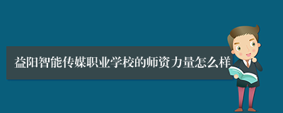 益阳智能传媒职业学校的师资力量怎么样