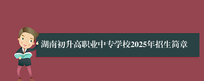 湖南初升高职业中专学校2025年招生简章