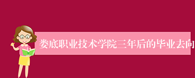 娄底职业技术学院三年后的毕业去向