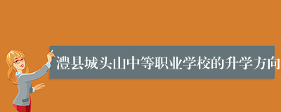 澧县城头山中等职业学校的升学方向