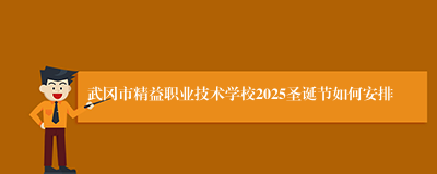 武冈市精益职业技术学校2025圣诞节如何安排