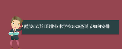 醴陵市渌江职业技术学校2025圣诞节如何安排