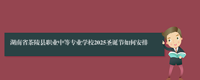 湖南省茶陵县职业中等专业学校2025圣诞节如何安排