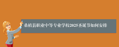 桑植县职业中等专业学校2025圣诞节如何安排