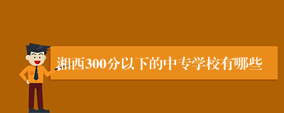 湘西300分以下的中专学校有哪些